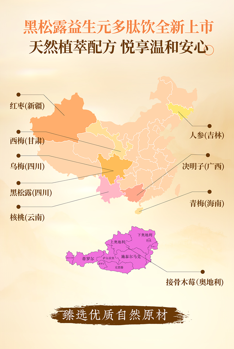 黑松露益生元多肽饮-详情页_--1_04.png