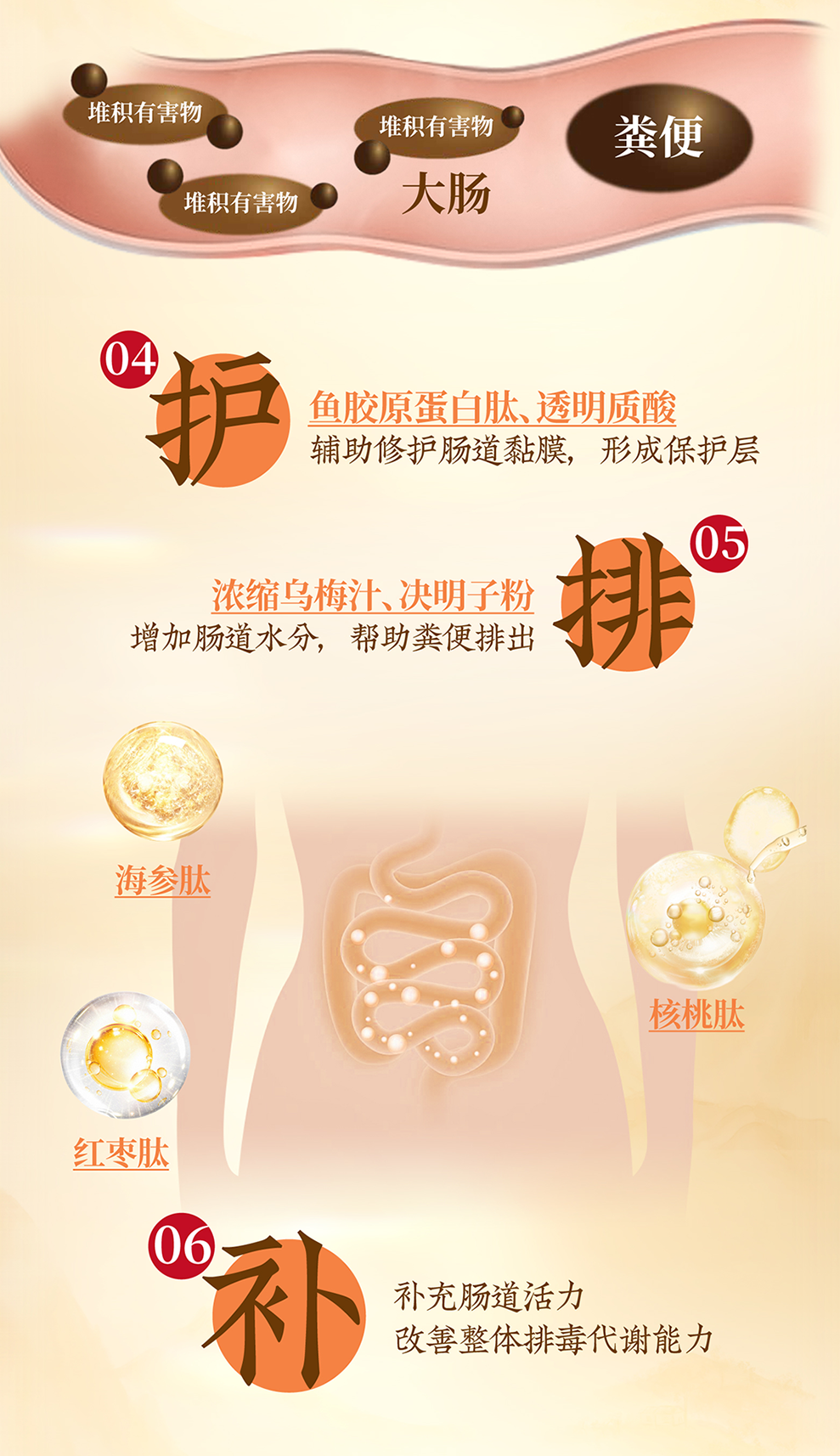 黑松露益生元多肽饮-详情页_--1_06.png